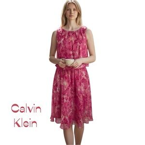 Calvin Klein Sheer Pink Floral Sleeveless Dress NWOT Size 4